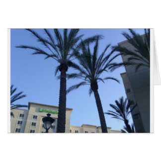 Twin Palms California Vacation