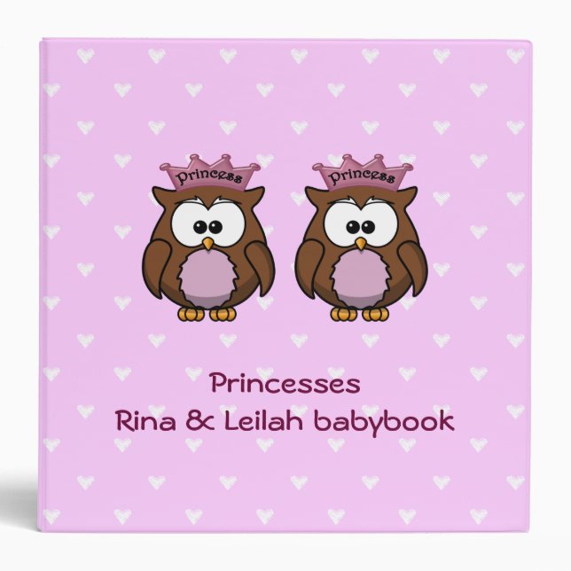 twin princesses owl binder (Front)