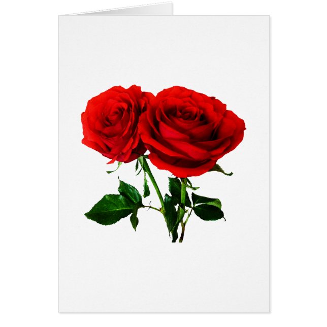 Twin Red Roses (Front)