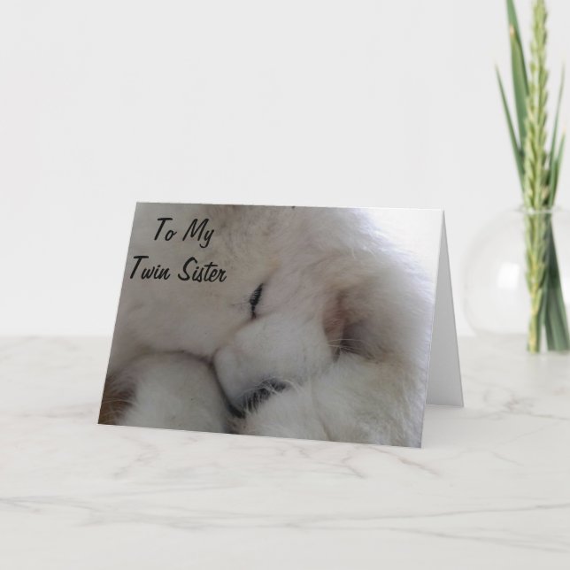 TWIN SISTER BIRTHDAY WISH FROM MY HEART CARD (Front)