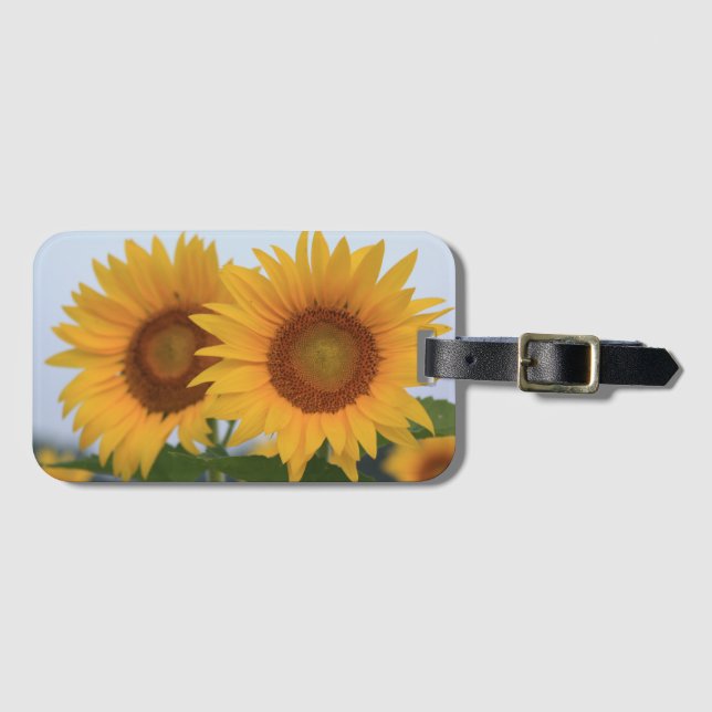 Twin Sunflowers Luggage Tag (Front Horizontal)