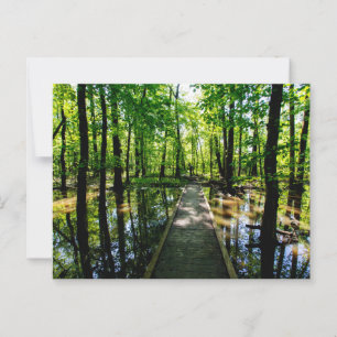 Twin Swamps Nature Preserve, Posey County, Indiana Postcard