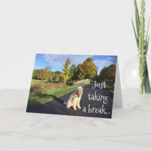 **TWIN** TAKING A BREAK TO SAY "HAPPY BIRTHDAY" CARD