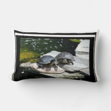 Twin Turtles -