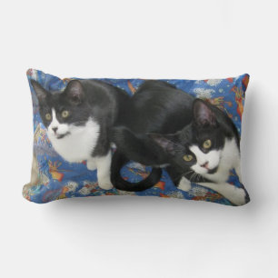 Twin Tuxedo Kittens Throw Pillow