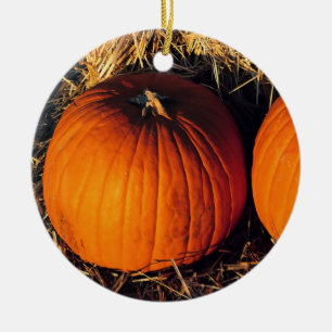 Twin Vintage Pumpkins Ceramic Ornament