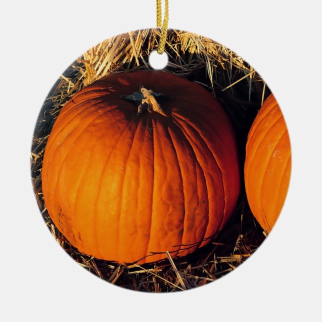 Twin Vintage Pumpkins  Ceramic Ornament (Front)