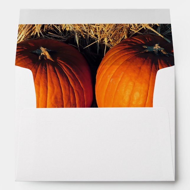 Twin Vintage Pumpkins  Envelope (Back (Bottom))