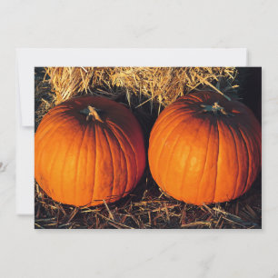 Twin Vintage Pumpkins  Invitation