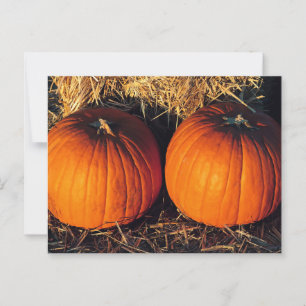 Twin Vintage Pumpkins  Postcard