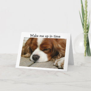 ***TWIN*** WAKE ME UP IN TIME" BIRTHDAY GREETING CARD