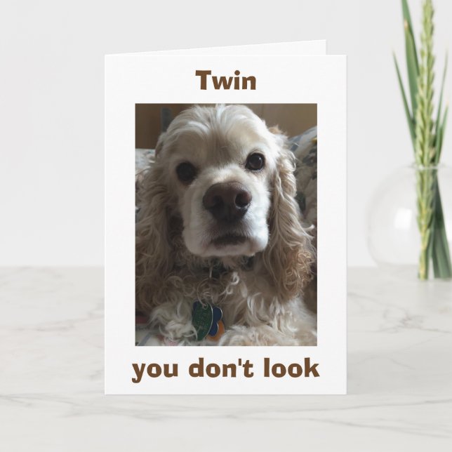 TWIN-YOU DON'T LOOK A DAY OVER "FABULOUS" BIRTHDAY CARD (Front)
