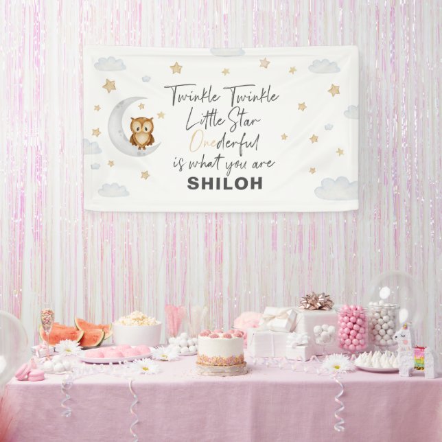 Twinkle Little Star 1st Birthday Party Banner (Party)