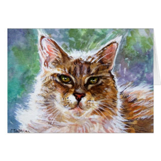 Twinkle the cat