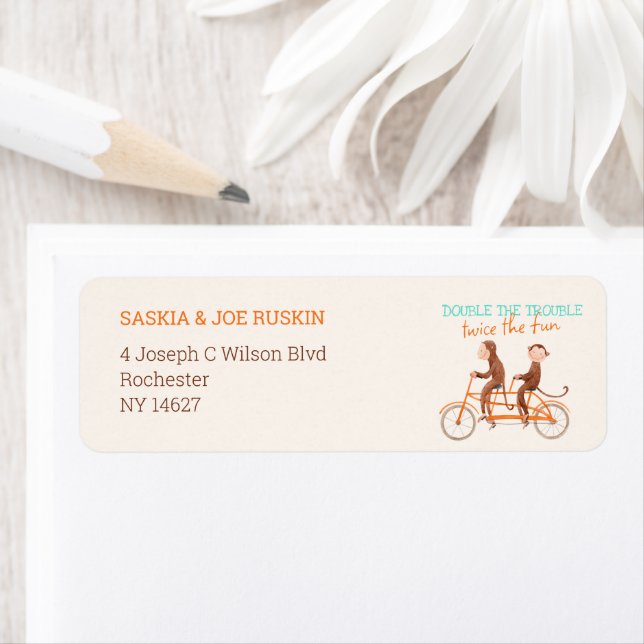 Twins Baby shower mignon singe double problème (En situation)