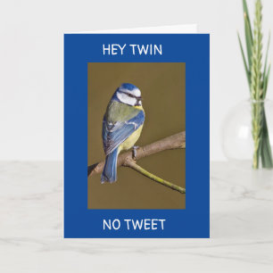 TWIN'S BIRTHDAY-NO TWEETS FROM THIS BIRD CARD