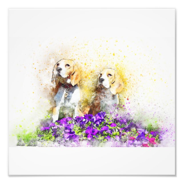 Twins Dogs Photo Print (Front)