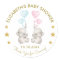 Twins Elephant Gender Reveal Blue Pink Favour Tag