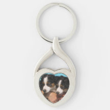 Twins