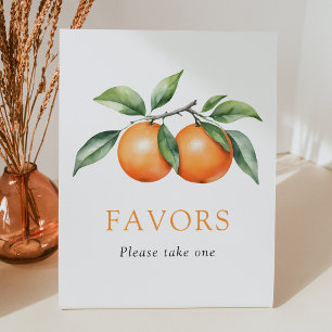 Twins Orange Baby Shower Favors Sign