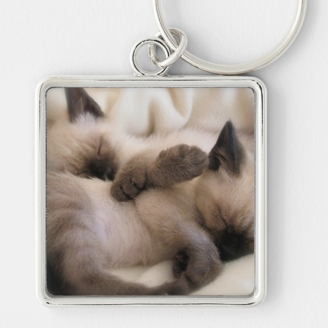 Twins Pet Cat Cute Siamese Kitten Keychain (Front)