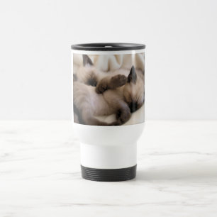 Twins Pet Cat Cute Siamese Kitten Travel Mug