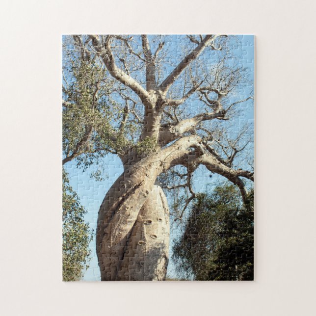 Twisted baobab tree, Madagascar Jigsaw Puzzle (Vertical)