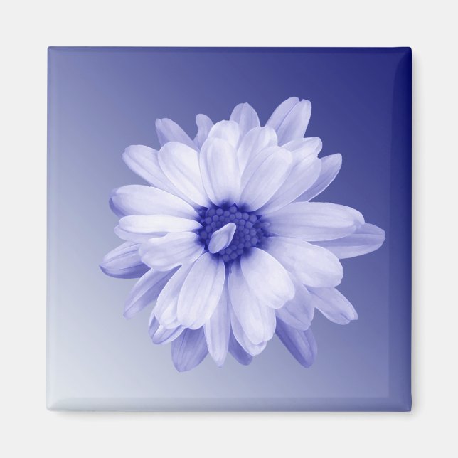 twisted blue petal magnet (Front)