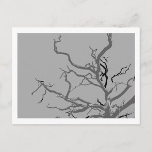Twisted  postcard