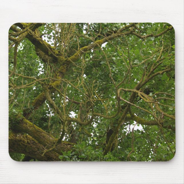 Twisted Tree Mouse Pad (Front)