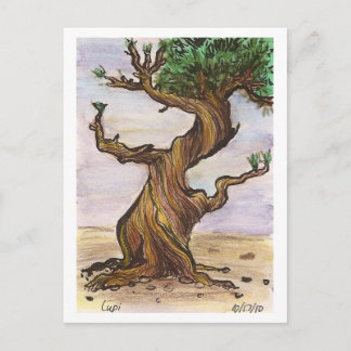 Twisted Tree Postcard