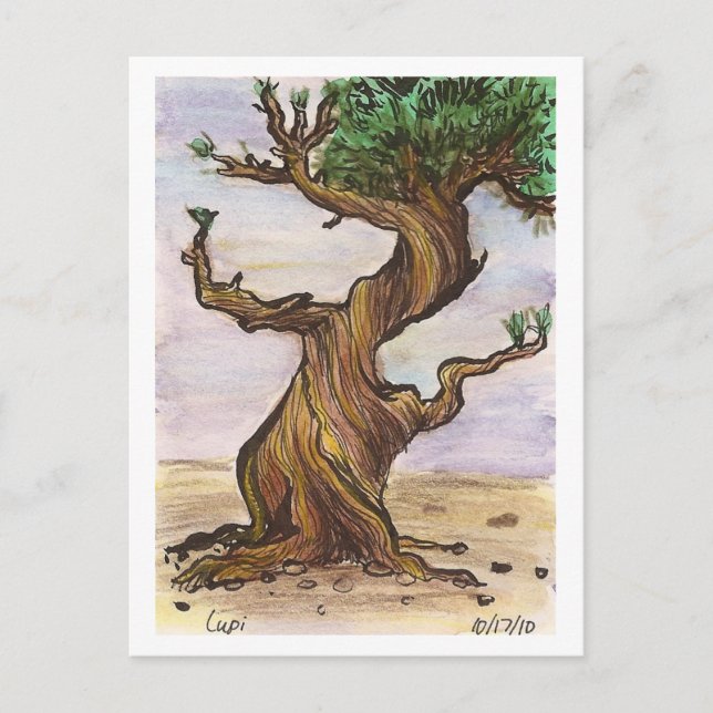 Twisted Tree Postcard (Front)