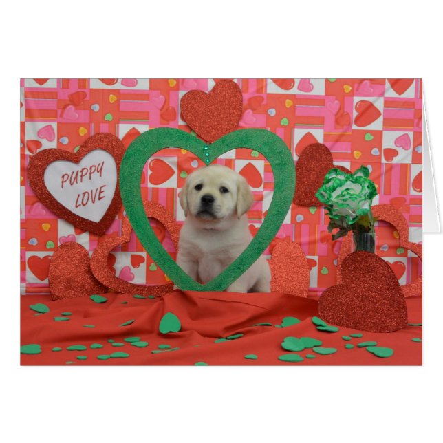 Twister Week 6 Photo (Front Horizontal)