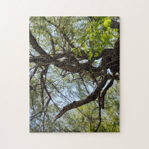 Twists and Curved Willow Tree Jigsaw Puzzle