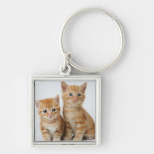 Two Adorable Kittens Keychain