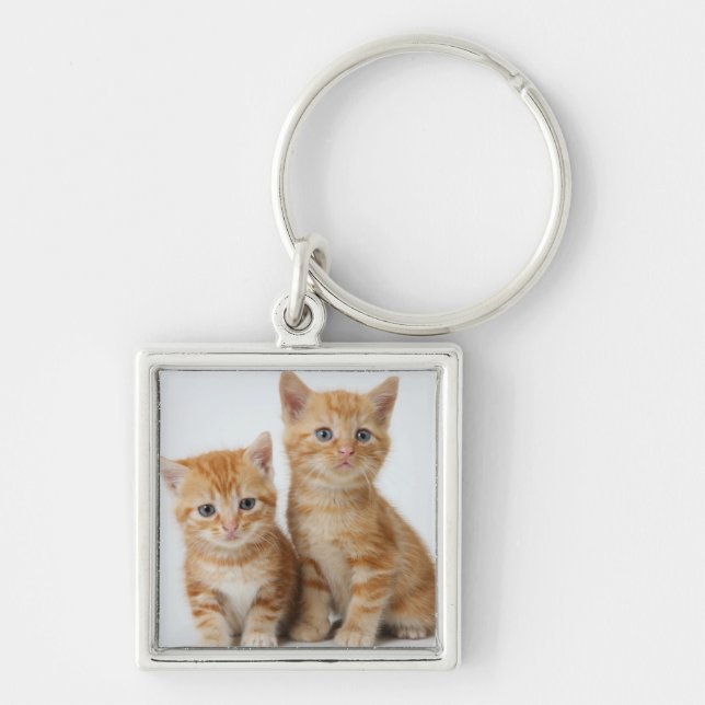 Two Adorable Kittens Keychain (Front)