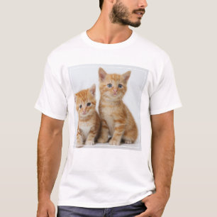 Two Adorable Kittens T-Shirt
