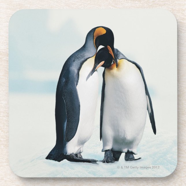 Two affectionate penguins coaster (Front)