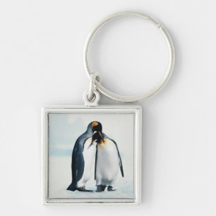Two affectionate penguins keychain
