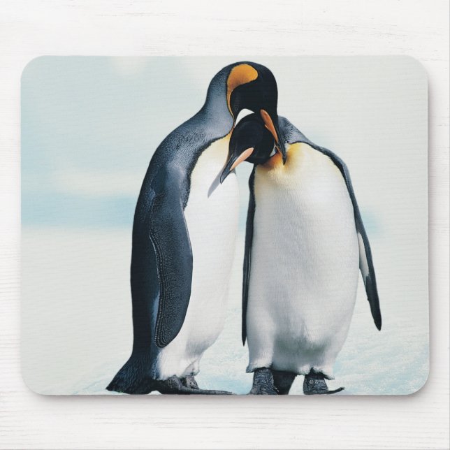 Two affectionate penguins mouse pad (Front)