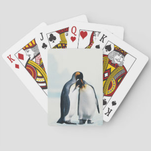 Two affectionate penguins playing cards