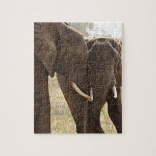 Two African Bush Elephants (Loxodonta Africana) Jigsaw Puzzle