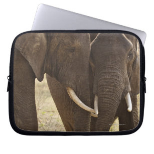 Two African Bush Elephants (Loxodonta Africana) Laptop Sleeve
