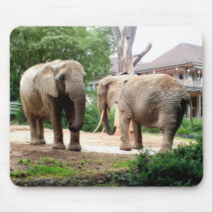 Two African elephants Mouse Pad