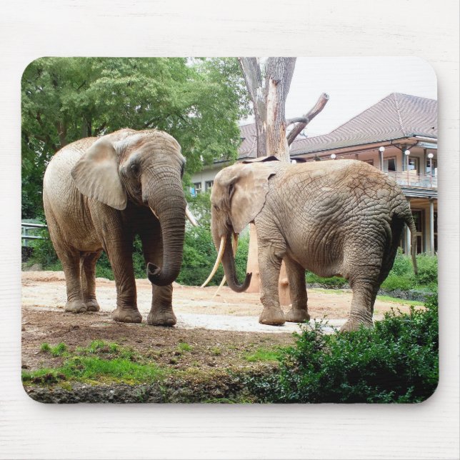 Two African elephants Mouse Pad (Front)