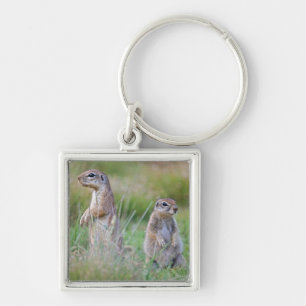 Two alert Ground Squirrels, Jamestown District, Keychain