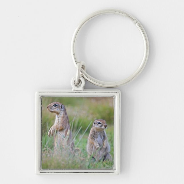 Two alert Ground Squirrels, Jamestown District, Keychain (Front)