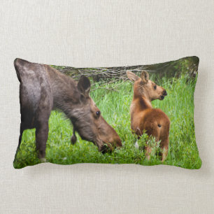 Two Alert Moose Mother And Baby Lumbar Pillow