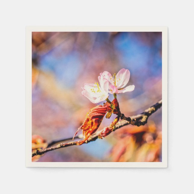 Two Amazing Sakura Flowers. Pink, Blue Background Napkin (Front)