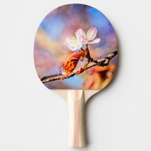 Two Amazing Sakura Flowers. Pink, Blue Background Ping Pong Paddle